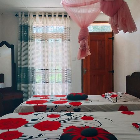 Pleasure Mount Homestay Ella Ngoại thất bức ảnh